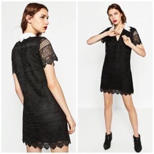 Zara Black & White Lace Dress Size Large